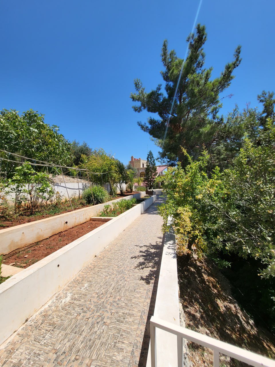 Mountain Villa Complex - 2